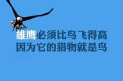 娱乐吃瓜酱励志文案短句,短句汇聚正能量