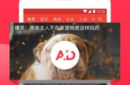 娱乐吃瓜模板素材视频大全,带你领略娱乐圈风云变幻