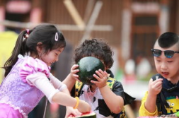 吃瓜人娱乐,揭秘娱乐圈幕后故事，带你领略明星真实生活