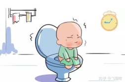 什么奶粉不便秘,告别便秘困扰的实用指南