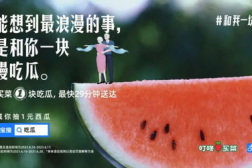 吃瓜娱乐图片文案大全,揭秘热门图片文案背后的趣味与真相