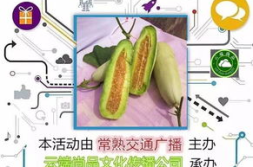 娱乐圈吃羊角瓜,娱乐圈明星的羊角瓜美食之旅