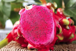 娱乐吃瓜火龙果视频,娱乐吃瓜盛宴，带你领略网络娱乐新潮流