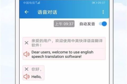 娱乐吃瓜酱英语翻译是什么,From 'Entertainment Gossipy Sauce' to English: A Summary of the Translation Journey